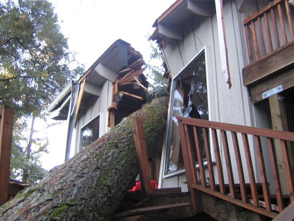 Disaster Kleenup Specialists