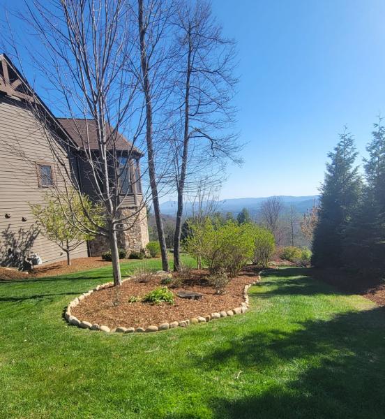 Bill's Tree and Landscaping