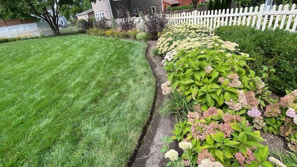 Grassnectar Lawn Care