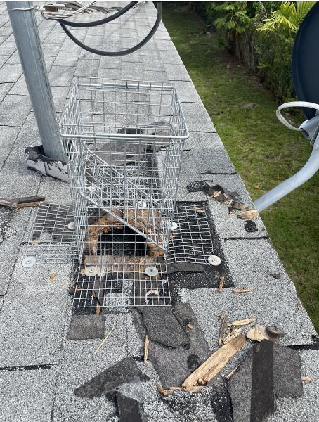Reliable Animal Removal Inc.