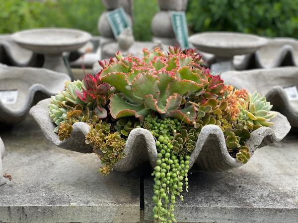 Avant Gardens