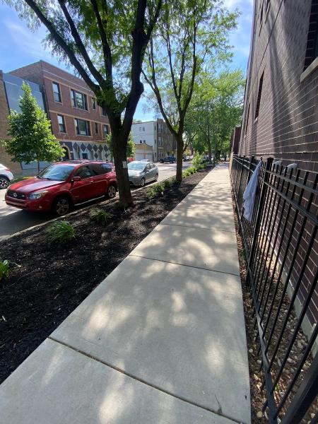Skyline Exteriors Landscaping & Lawn Care