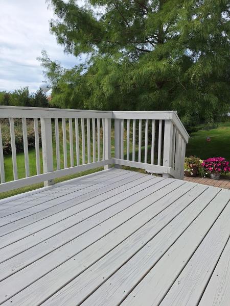 Pro Painting Services LLC