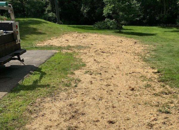 Drainage Experts LLC