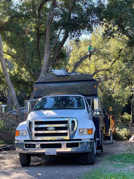 Cali Tree Service