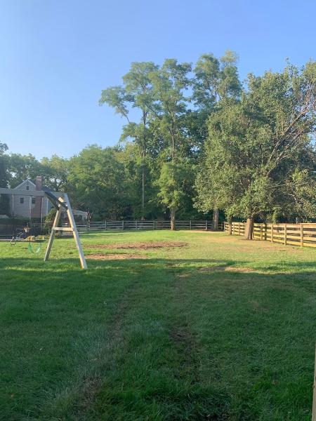 Hufnagel Tree Service