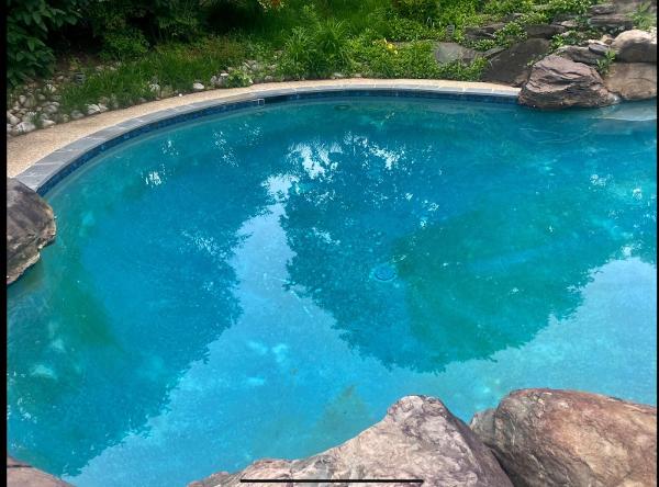 American Pool Service