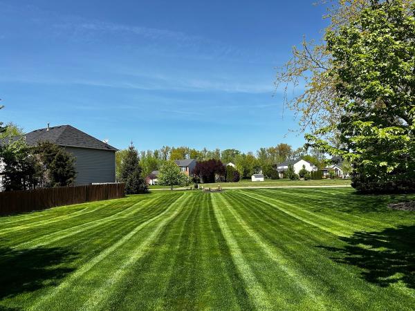 American Grounds Management