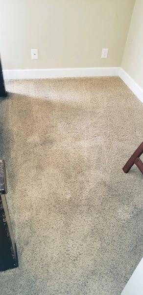 Tee To Green Carpet Clean