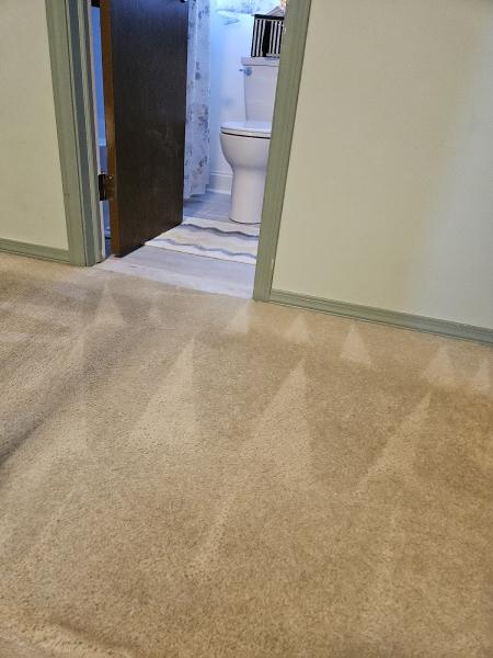 Wetdry Carpet and Restoration