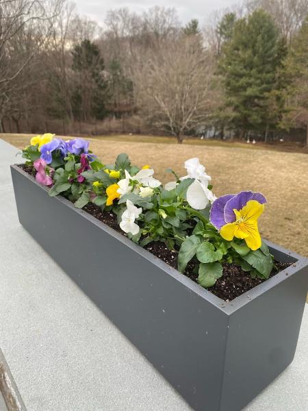 Town & Country Landscape Management