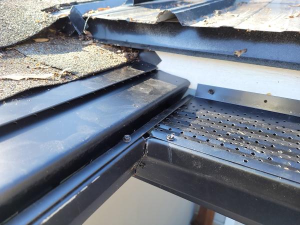 Focus Pest Management