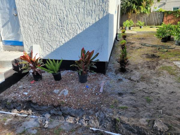 AG Lawn Service & Landscape Maintenance