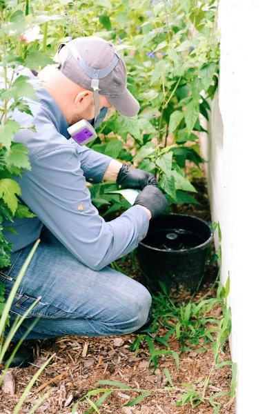 Rise Pest Management