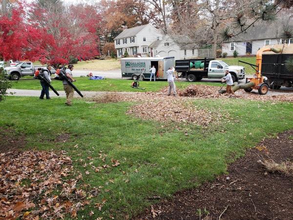 Gallagher Landscaping