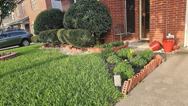 Emerald Lawns
