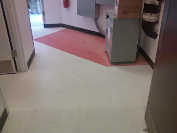 New Again Carpet Cleaners Fayetteville NC