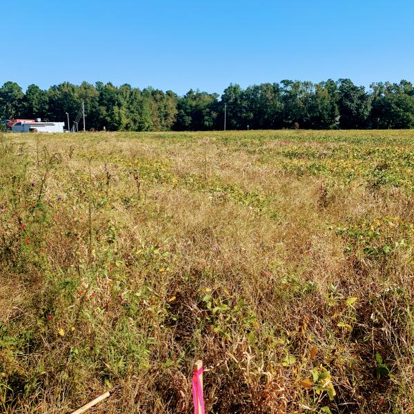 Intracoastal Land Surveying