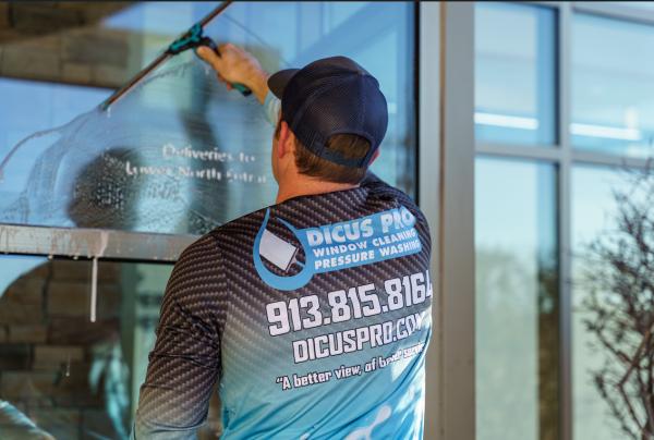 Dicus Professional Services