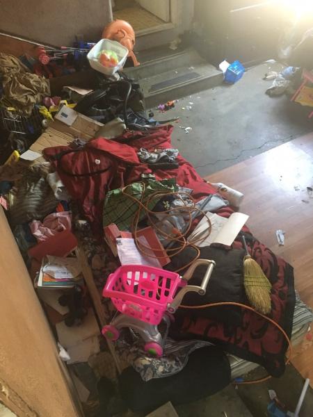 Turdminators Pet Waste Removal