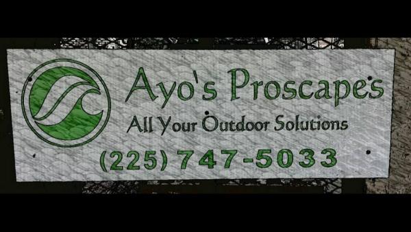 Ayo's Proscapes