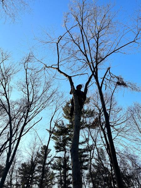 C & B Tree Care