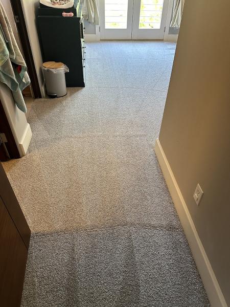 Arcane Carpet Cleaners