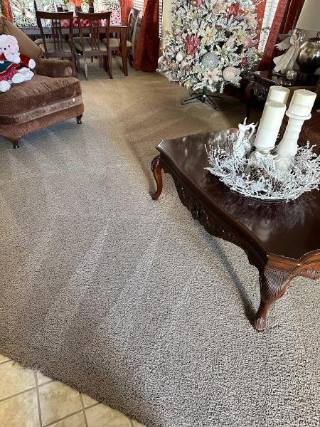 Arcane Carpet Cleaners