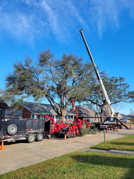 A+ Reliable Tree Service