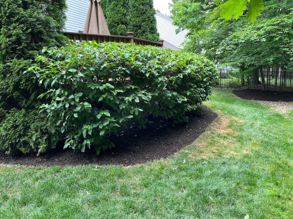 Ezgreen Lawn Care