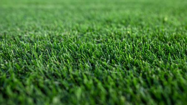 5280 Native Lawn Maintenance