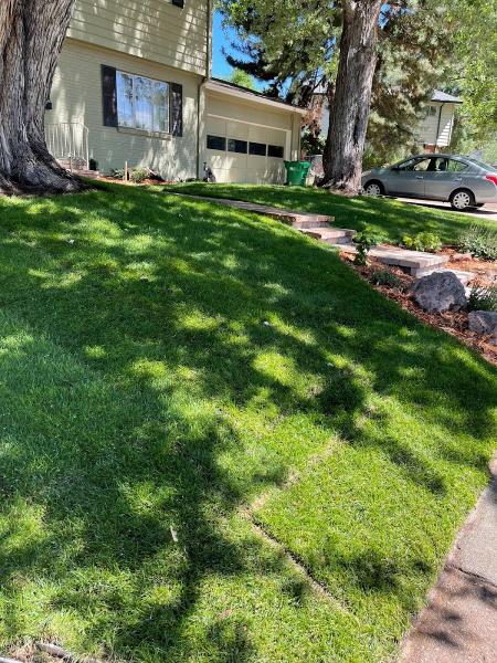 5280 Native Lawn Maintenance