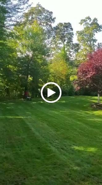 DSL Landscaping Services LLC