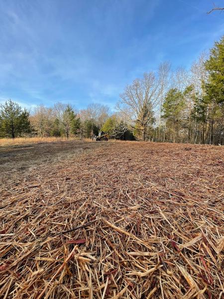 Grounded Land Solutions