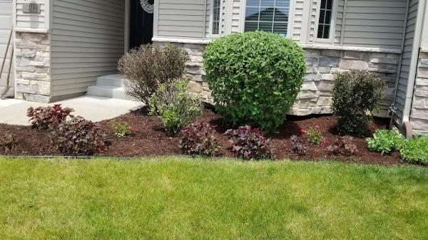 Natural Landscaping