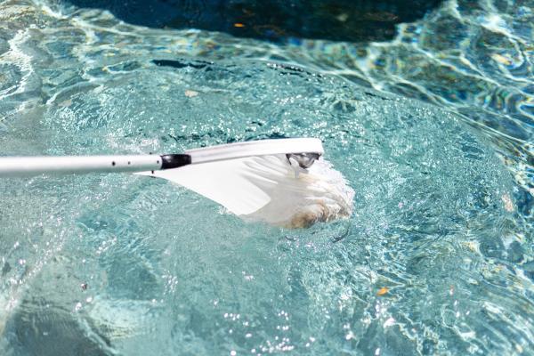 DE Pool Services