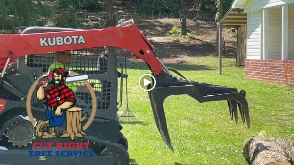 Cut Right Tree Service