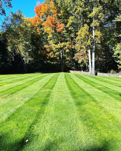 Lasko Landscaping LLC