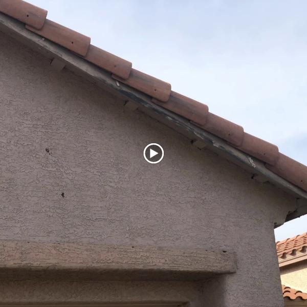 Desert Rose Painting LLC