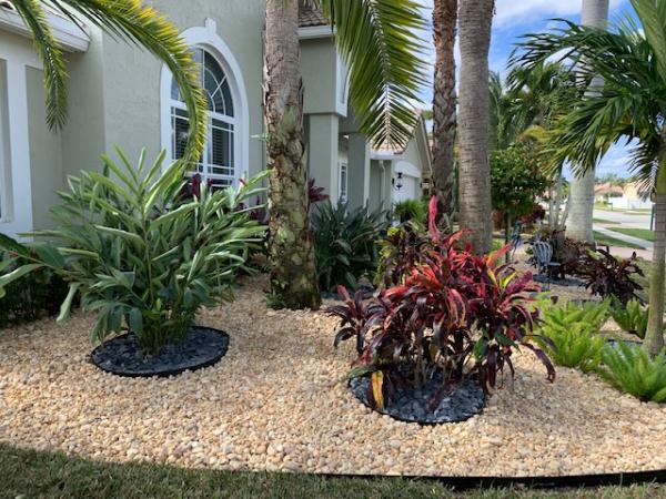 Next Level Landscaping and Maintenance