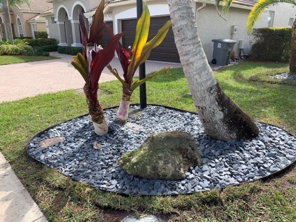 Next Level Landscaping and Maintenance