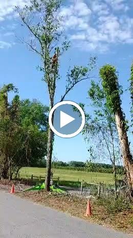 Altman Tree & Land Services