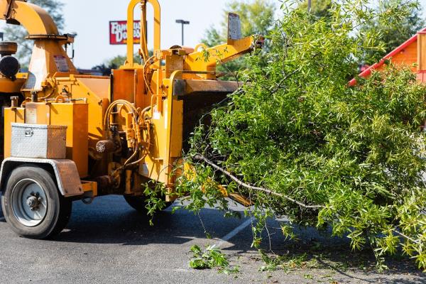Abundant Tree Care Services