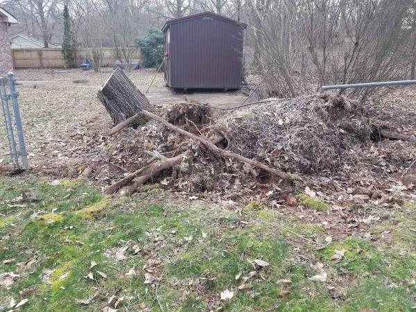Stump Ease Stump Removal