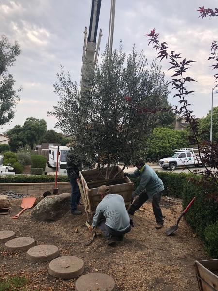 Dan's Landscaping Company