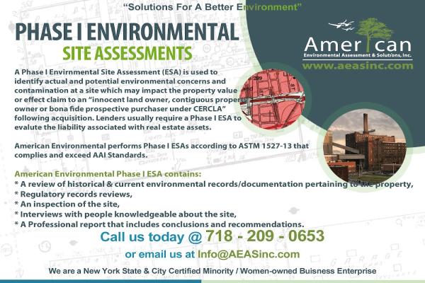 American Environmental Assessment & Solutions