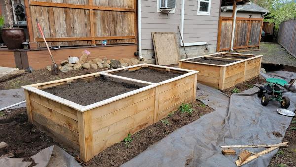 Stump Thumpers