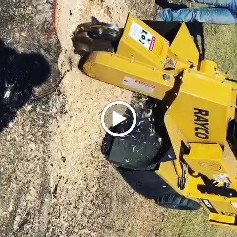 Walts Tree Service