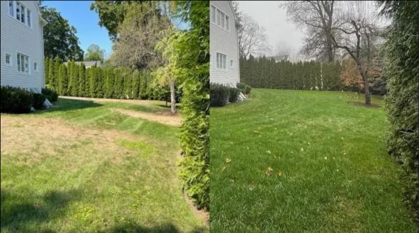 Lucky Lawn Inc.