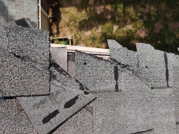Thin Line Home Inspections